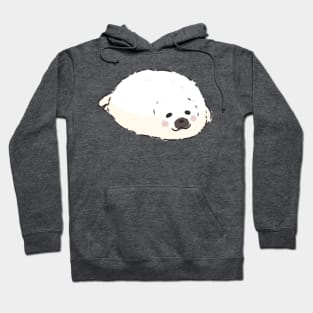 Cute Baby seal illustration Hoodie